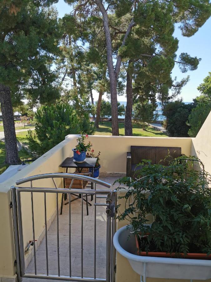 Mirta Deluxe Superior 5 Star Apartment, Your Piece Of Heaven By The Sea & Park, With Sea & Park View Новиград Экстерьер фото